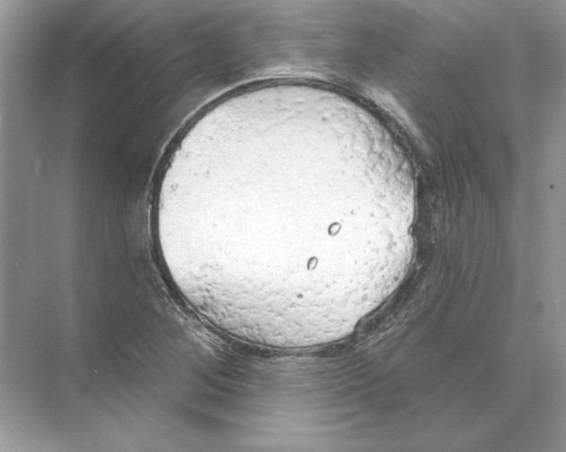 X0000074301268200609222325