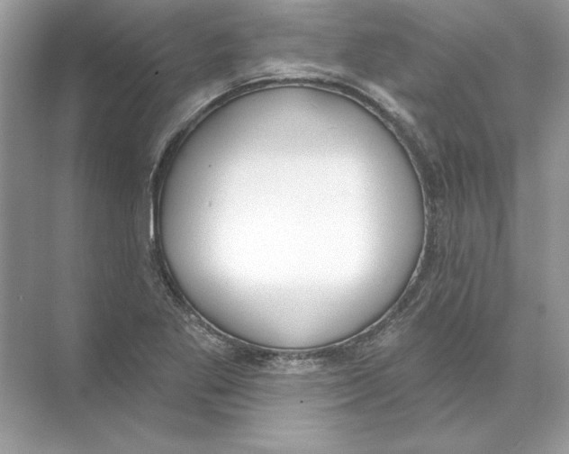 X0000074301269200609222325