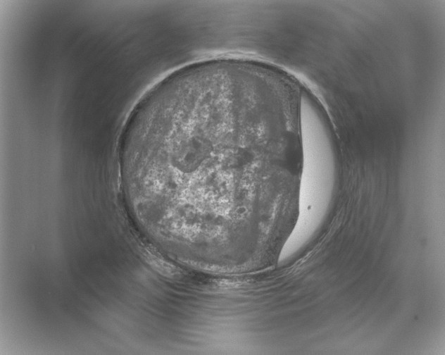 X0000074301271200609222325