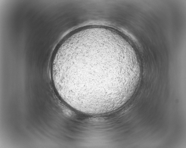 X0000074301272200609222325