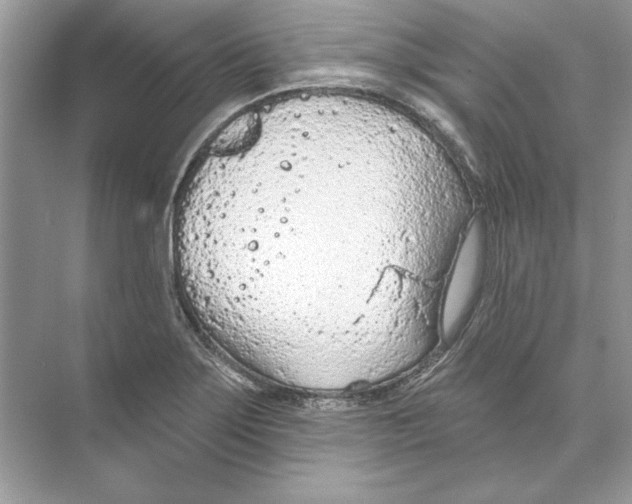 X0000074301275200609222325