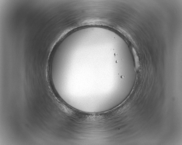 X0000074301277200609222325