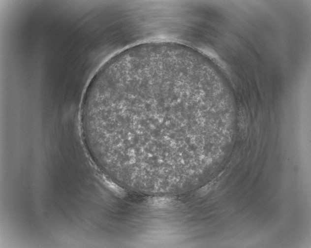 X0000074301278200609222325