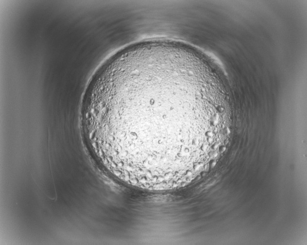 X0000074301279200609222325