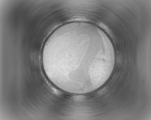 X0000074301282200609222325