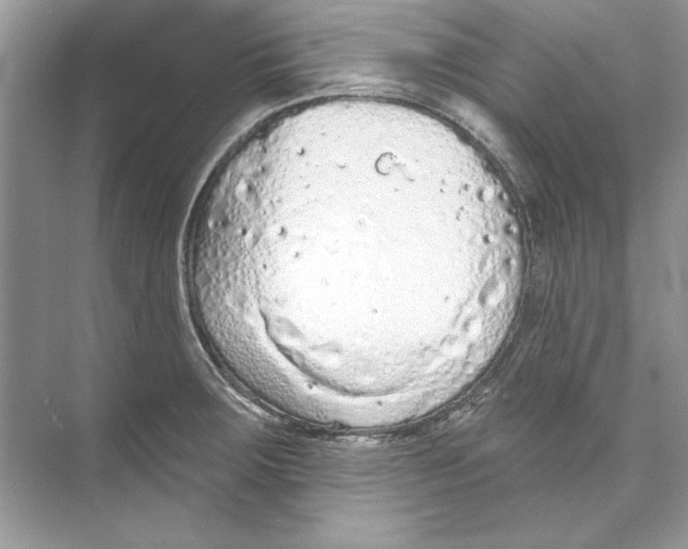 X0000074301283200609222325