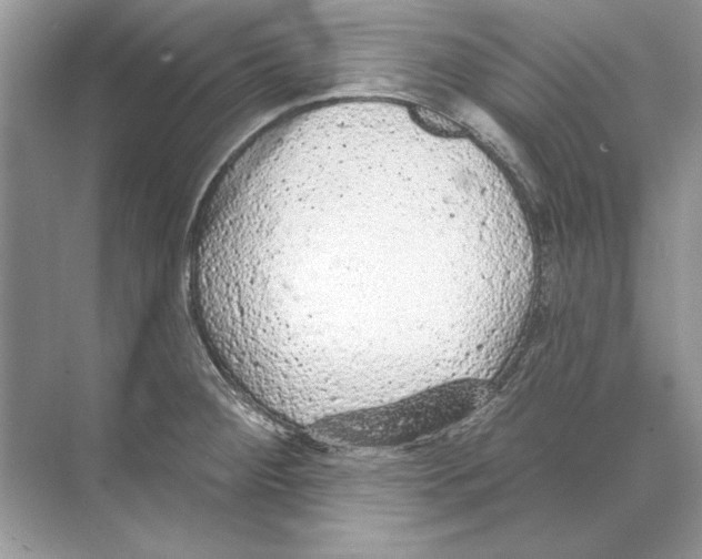 X0000074301284200609222325