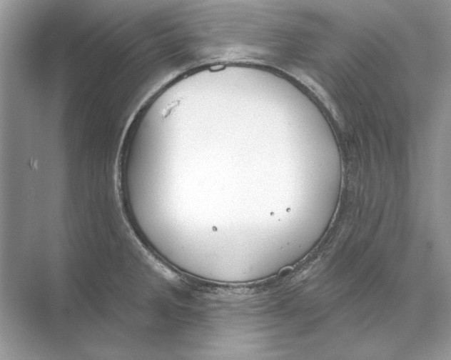 X0000074301285200609222325