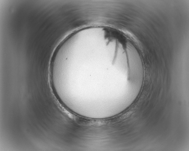 X0000074301286200609222325