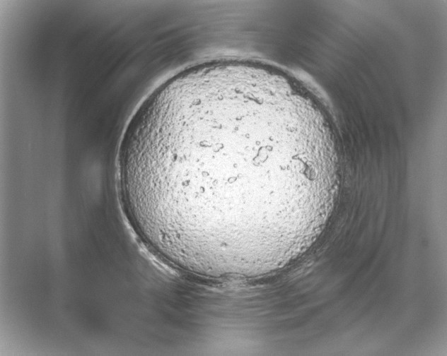 X0000074301287200609222325