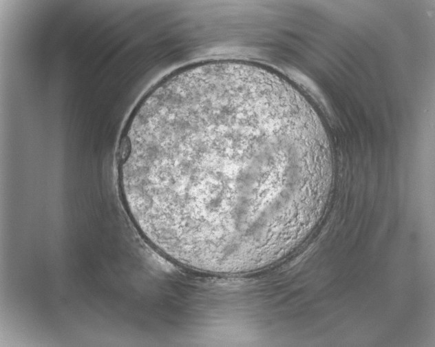 X0000074301288200609222325