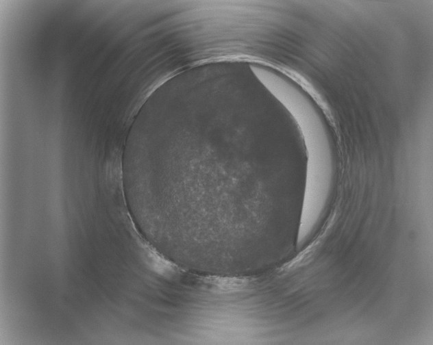 X0000074301289200609222325