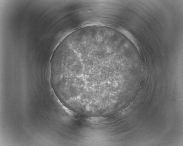 X0000074301290200609222325