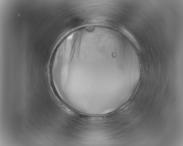 X0000074301291200609222325