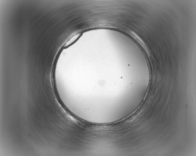 X0000074301293200609222325