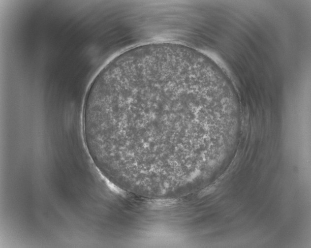 X0000074301294200609222325