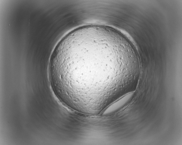 X0000074301295200609222325