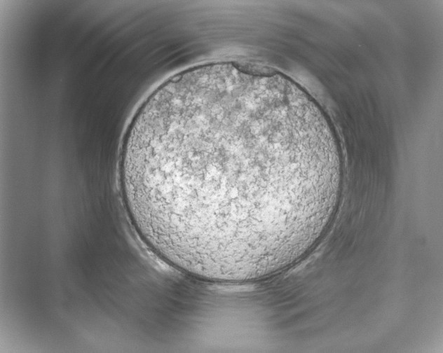 X0000074301296200609222325