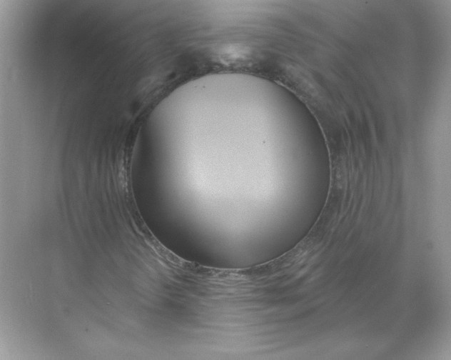 X0000074301298200609222324