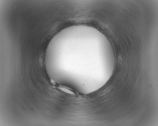 X0000074301300200609222324