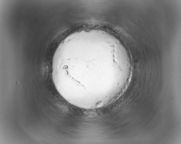 X0000074301302200609222324