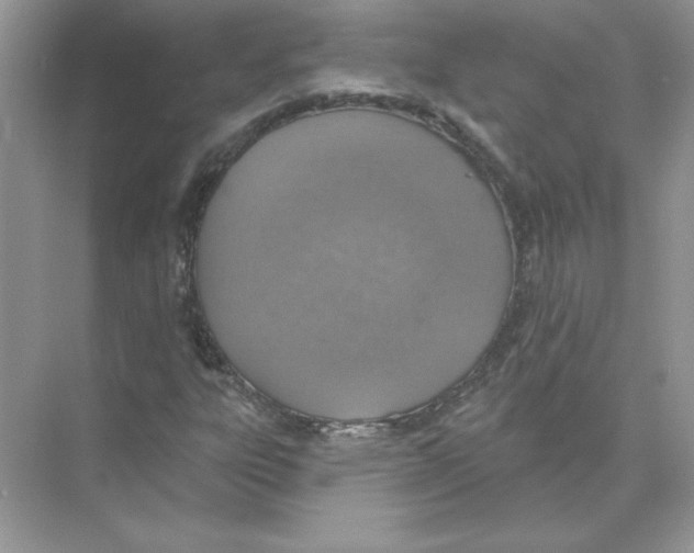 X0000074301303200609222324