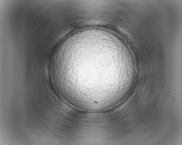 X0000074301305200609222324