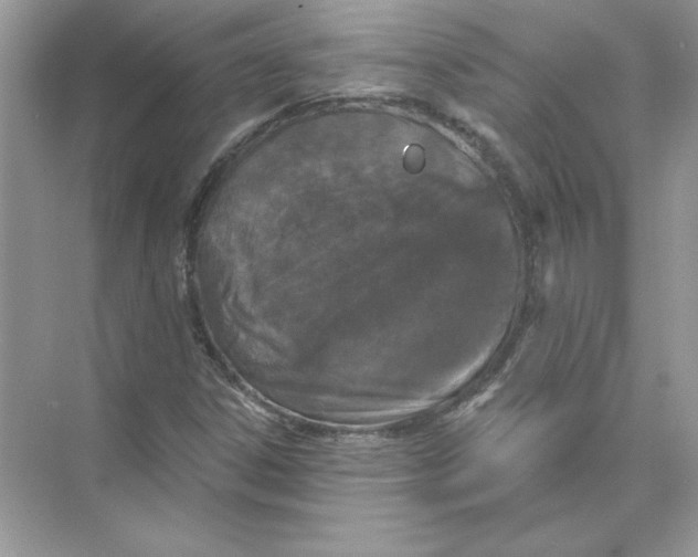 X0000074301306200609222324