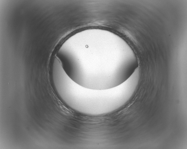 X0000074301308200609222324