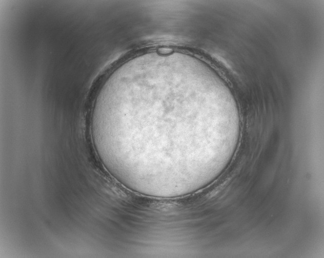 X0000074301309200609222324