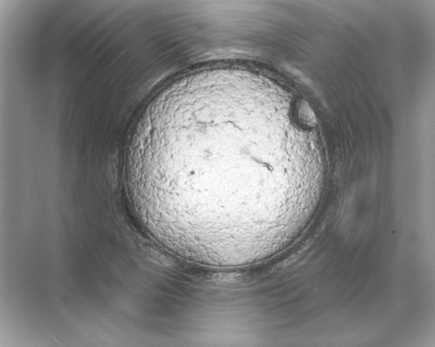 X0000074301313200609222324