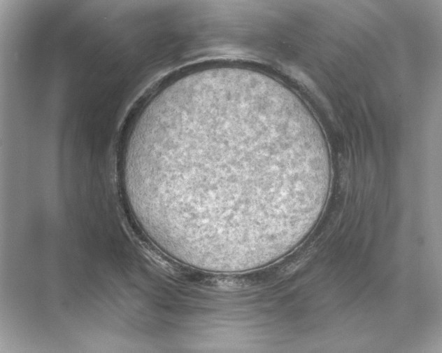 X0000074301318200609222325