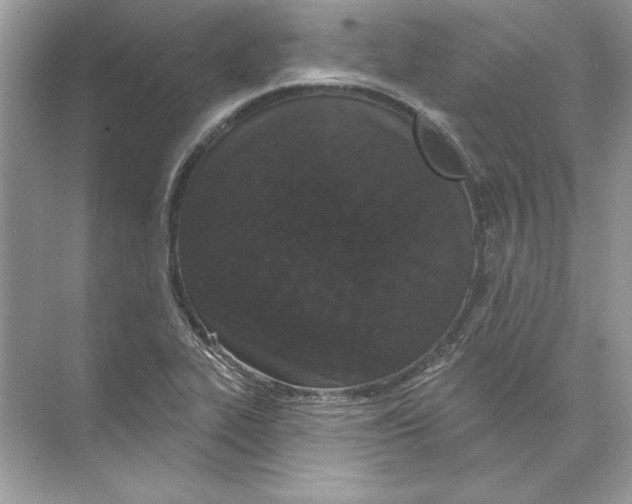 X0000074301319200609222325