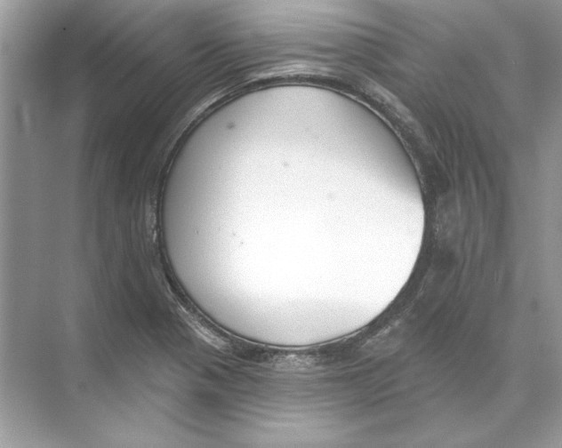 X0000074301321200609222325