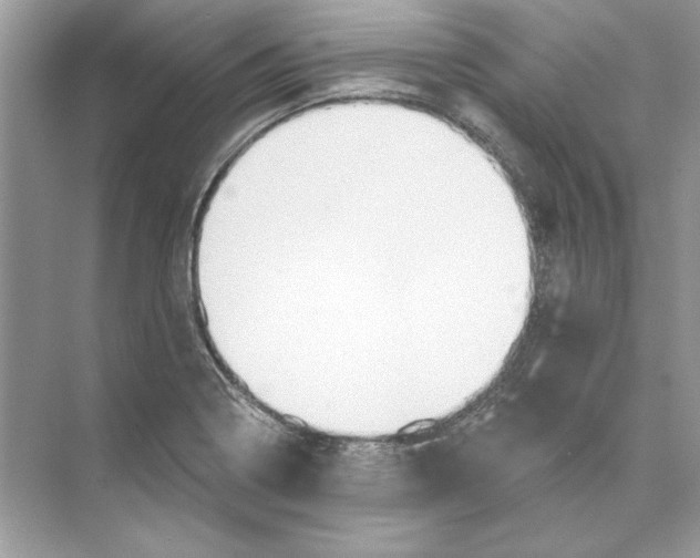 X0000074301322200609222325