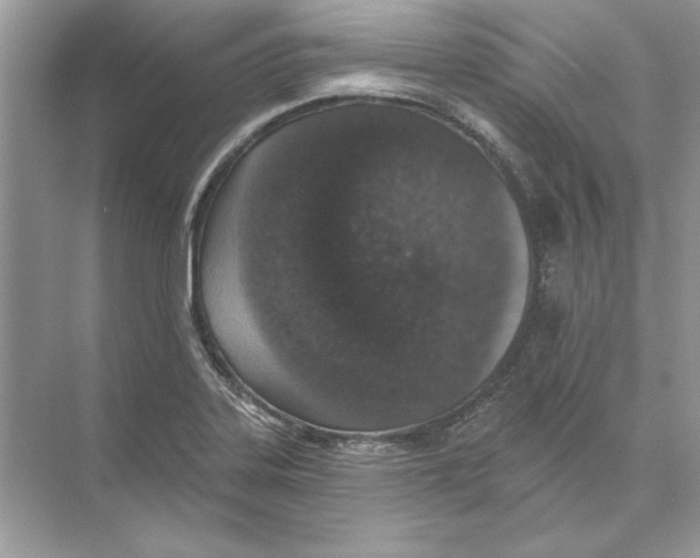 X0000074301323200609222325