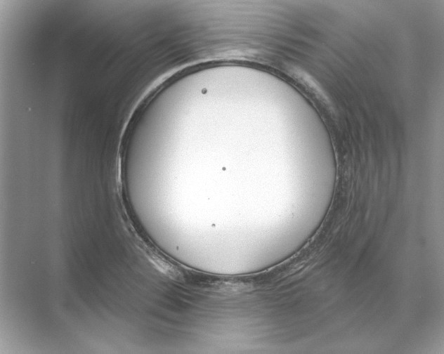 X0000074301324200609222325