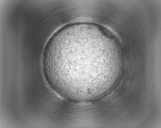 X0000074301325200609222325