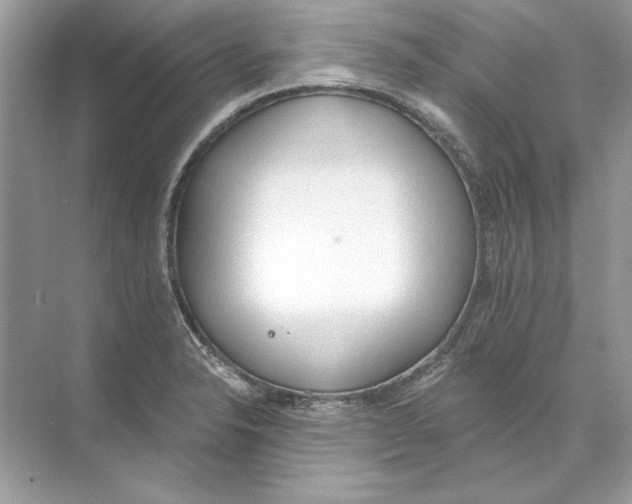 X0000074301326200609222325