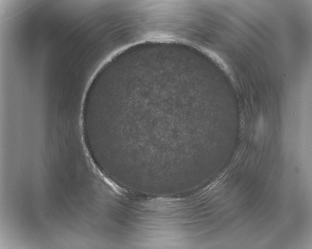 X0000074301327200609222325