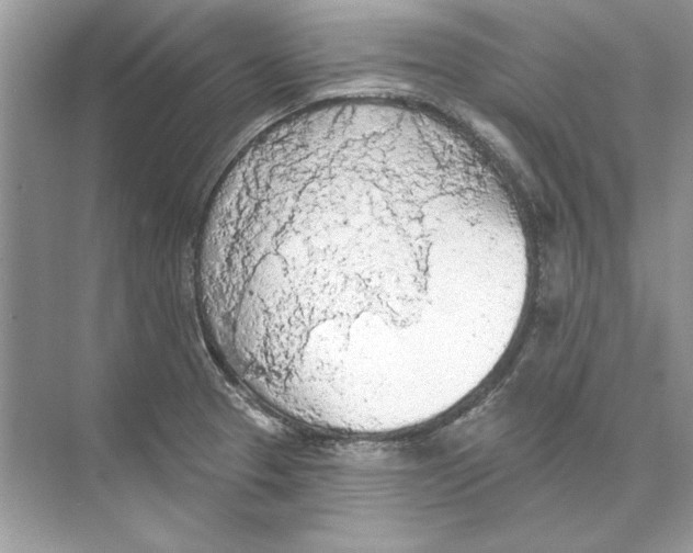 X0000074301329200609222325