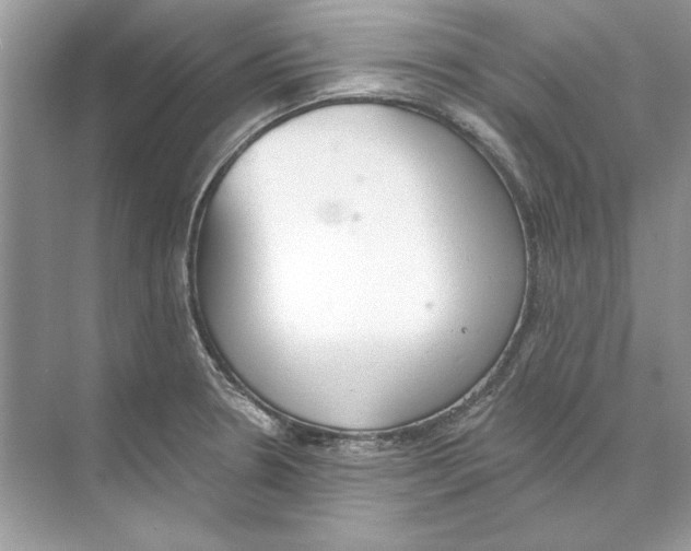 X0000074301330200609222325