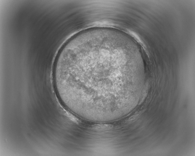 X0000074301331200609222325