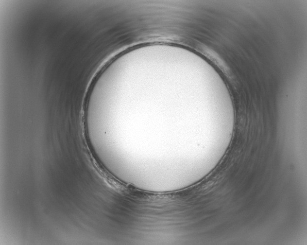 X0000074301332200609222325