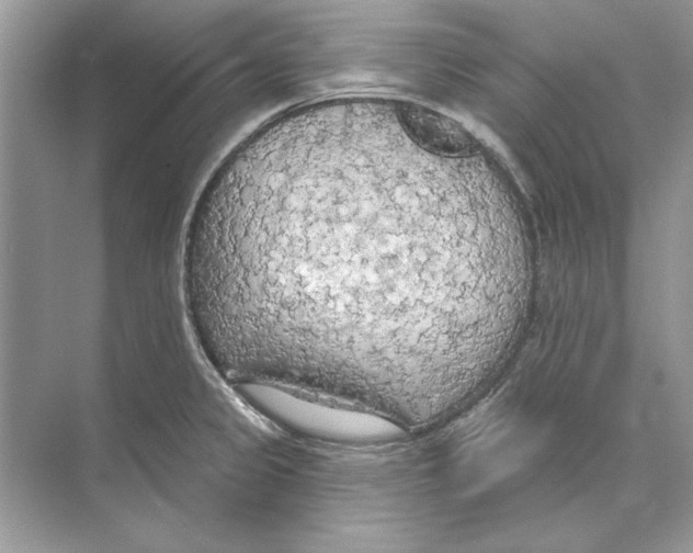 X0000074301333200609222325