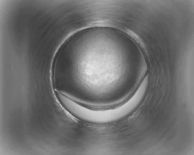 X0000074301334200609222325