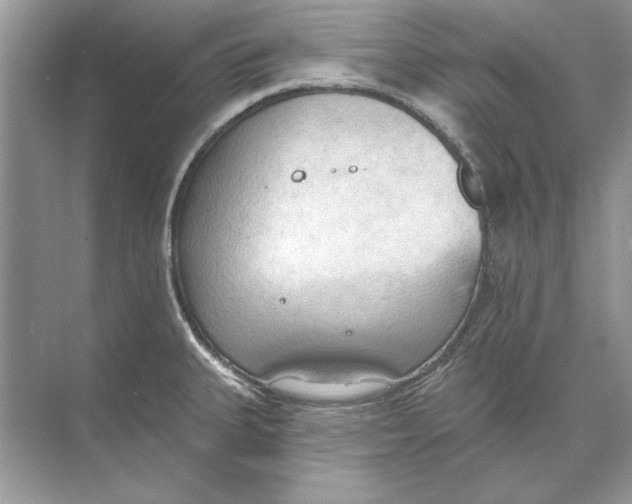 X0000074301335200609222325