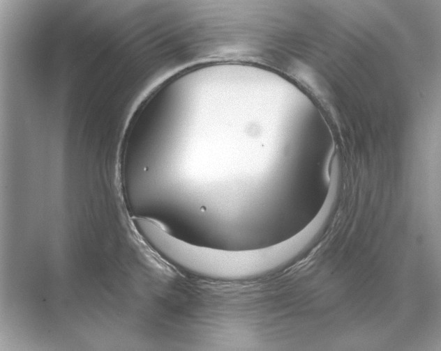 X0000074301336200609222325