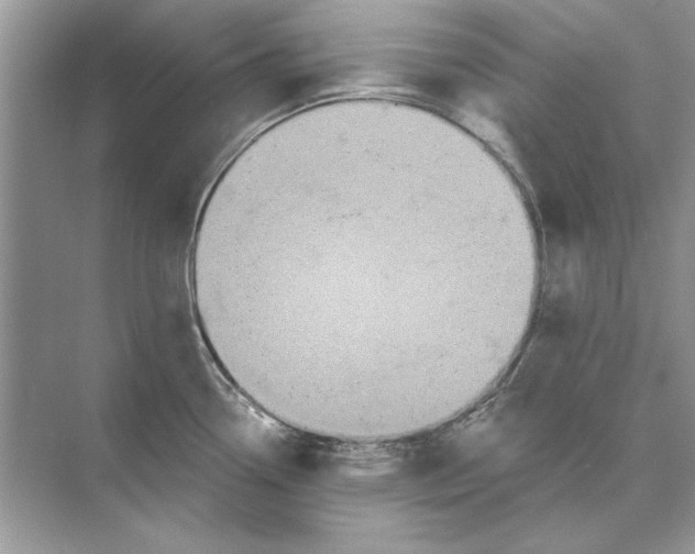 X0000074301338200609222325