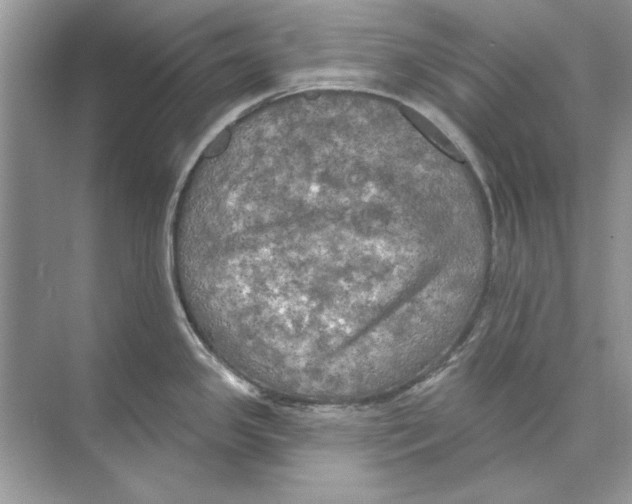 X0000074301341200609222325